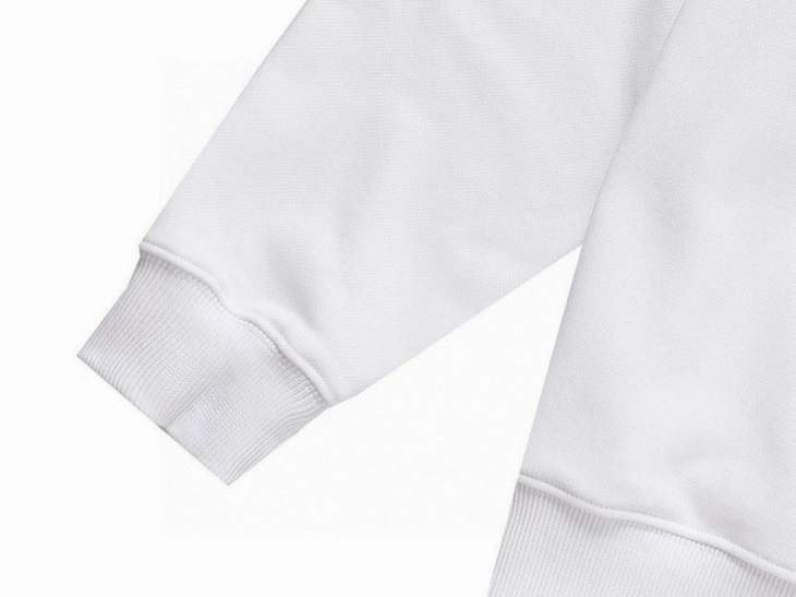 Picture of Balenciaga Hoodies _SKUBalenciagaXS-XLmptx801043